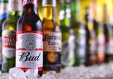 World’s Largest Brewer: Beer Is Flowing Again