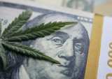 California Bill Offers Banking Support For Cannabis Businesses
