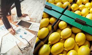 New Report: Fixing The Global Fruit Supply Chain’s Broken Payments Problem