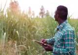 Data, Tech Improve Productivity, Credit Access for Africa’s Smallholder Farmers