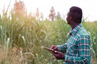 Data, Tech Improve Productivity, Credit Access for Africa’s Smallholder Farmers