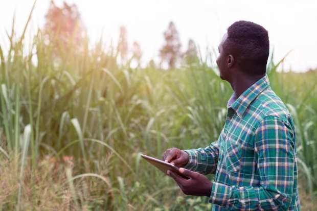 Sowing The Seeds Of Agriculture Banking Modernization
