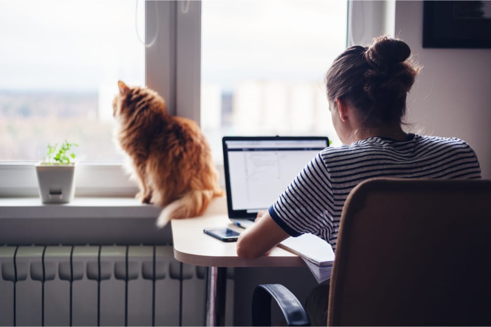 The Four COVID Personas, Part 4: ‘Office Shifters’