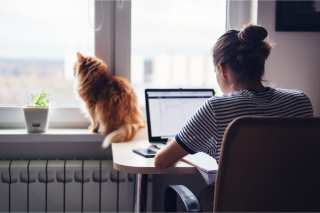 The Four COVID Personas, Part 4: ‘Office Shifters’