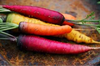 Purple Carrot Single-Serve Meals Come To Whole Foods Market