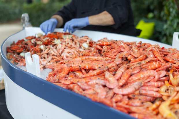 Shellfish Industry Tries DTC Strategy