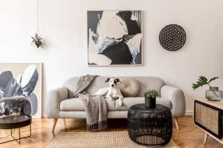 Case Study: Interior Define On Leveraging The D2C Digital Shift