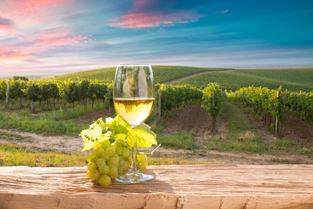 Boston Wine Shop Brings Natural Expertise