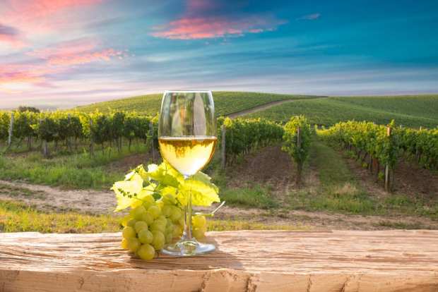 Wine Humans Unite! Boston Shop Brings Natural Attitude And Expertise To The Party