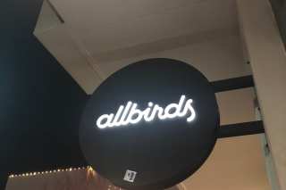 Footwear Firm Allbirds Raises $100M