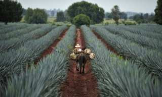 Closing Latin America’s $350B SMB Trade-Finance Gap