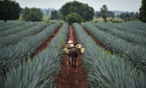 Closing Latin America’s $350B SMB Trade-Finance Gap