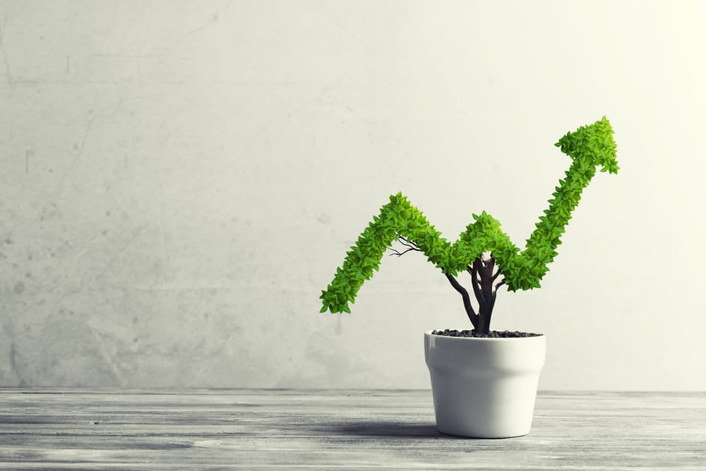 MineralTree Raises $50M, Buys Two Companies