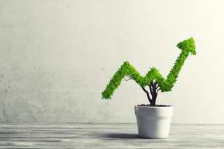 MineralTree Raises $50M, Buys Two Companies