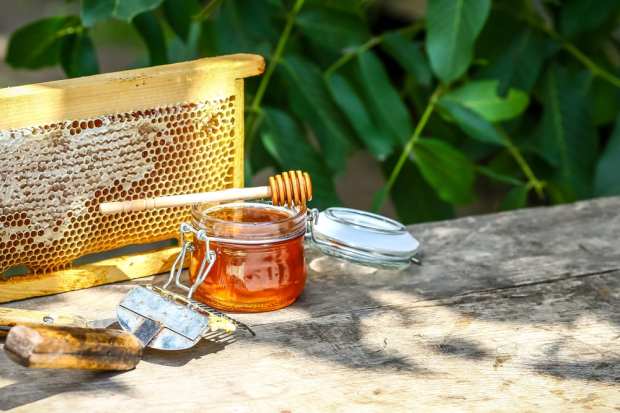 beekeeping honey
