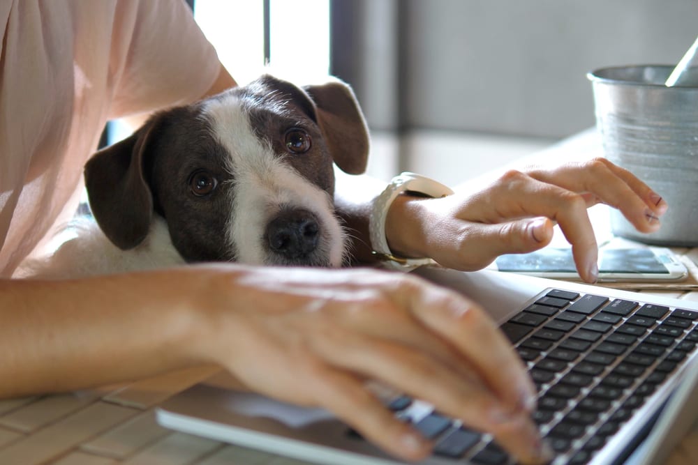 Companies See Work From Home As A Security Threat