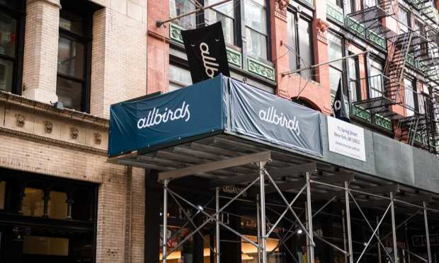 allbirds, sneakers, startup, sustainable, clothing