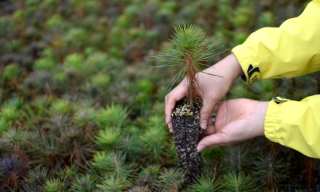 Welcome To The Decade Of Sustainability Rewards