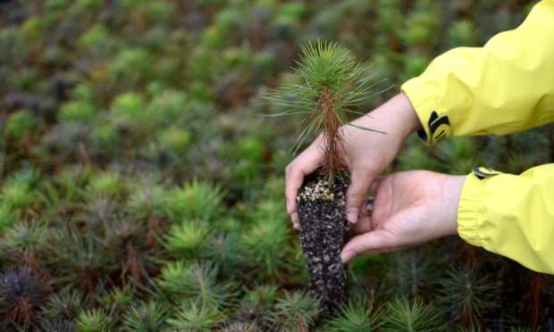 Welcome To The Decade Of Sustainability Rewards