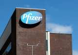 Pfizer Vaccine Data Delayed; Fed Halts Clinical Trial