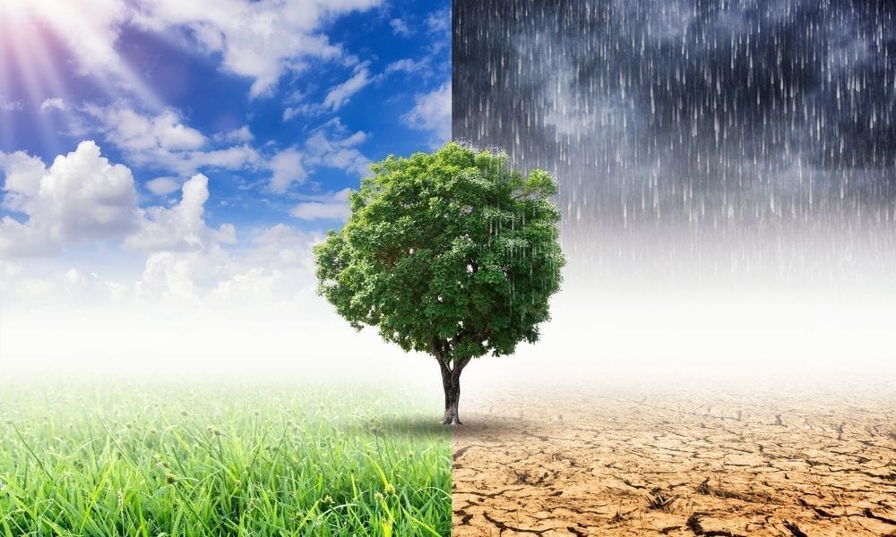 Mastercard’s Priceless Planet Coalition Adds Members To Fight Climate Change