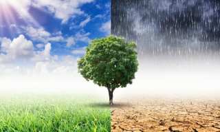 Mastercard’s Priceless Planet Coalition Adds Members To Fight Climate Change