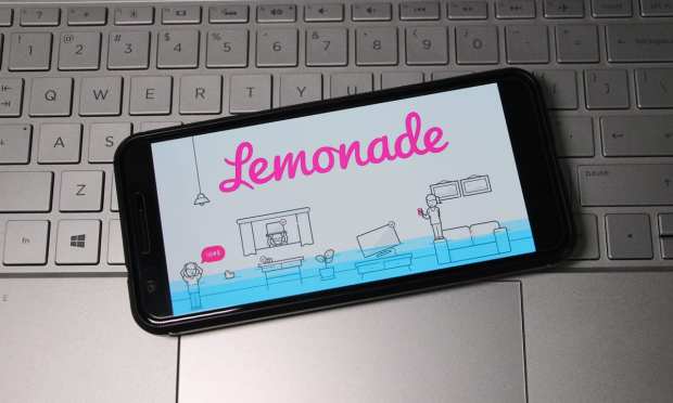 Lemonade insurance app