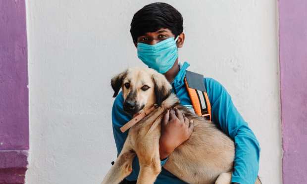 India’s Nascent Pet Care Industry Gets Its First Online Retailer