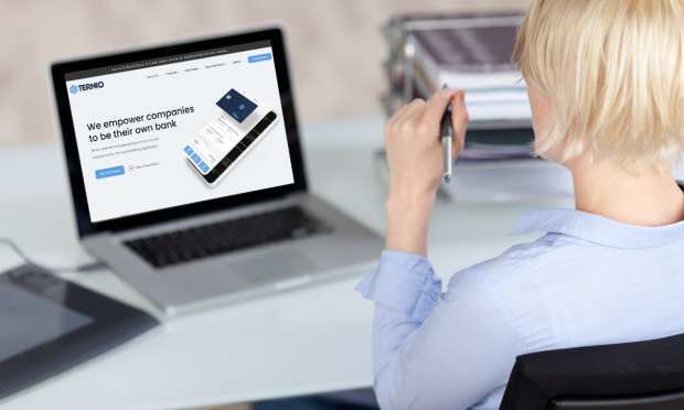 Ternio Integrates With Plaid To Ease Access To Crypto-Friendly Accounts