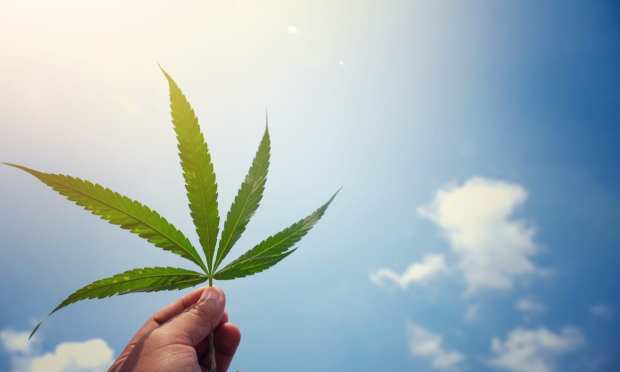 Despite Cannabis Win, Legality Still Unlikely For Now