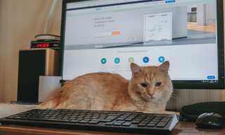 From Comfy Sweats To Big Corporate Bets; 5 WFH Trends That Look Set To Stay