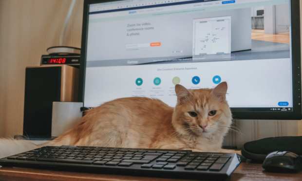 From Comfy Sweats To Big Corporate Bets; 5 WFH Trends That Look Set To Stay