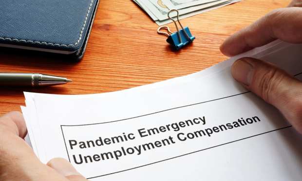 pandemic unemployment application