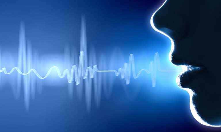 voice technology
