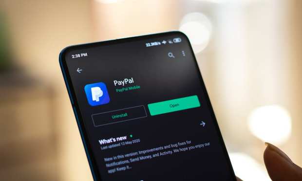 Paypal, india, payments, domestic market,