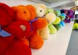 How Buy Now, Pay Later Is Helping To Put Tambo Teddies On The Map