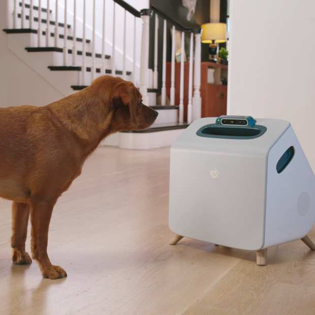 Ex-Google Strategist Brings Connected Economy To Pet Care