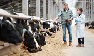 Jeal Computer Services Debuts New eCommerce Site