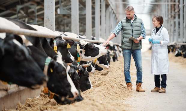 Jeal Computer Services Debuts New eCommerce Site