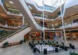 Shopping Mall Solvency Back In Focus