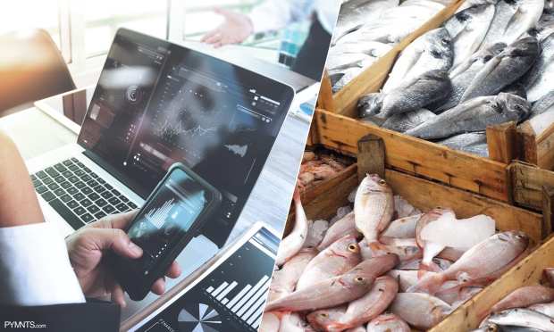 B2B Payments Makes Waves In $167 Billion Global Seafood Industry