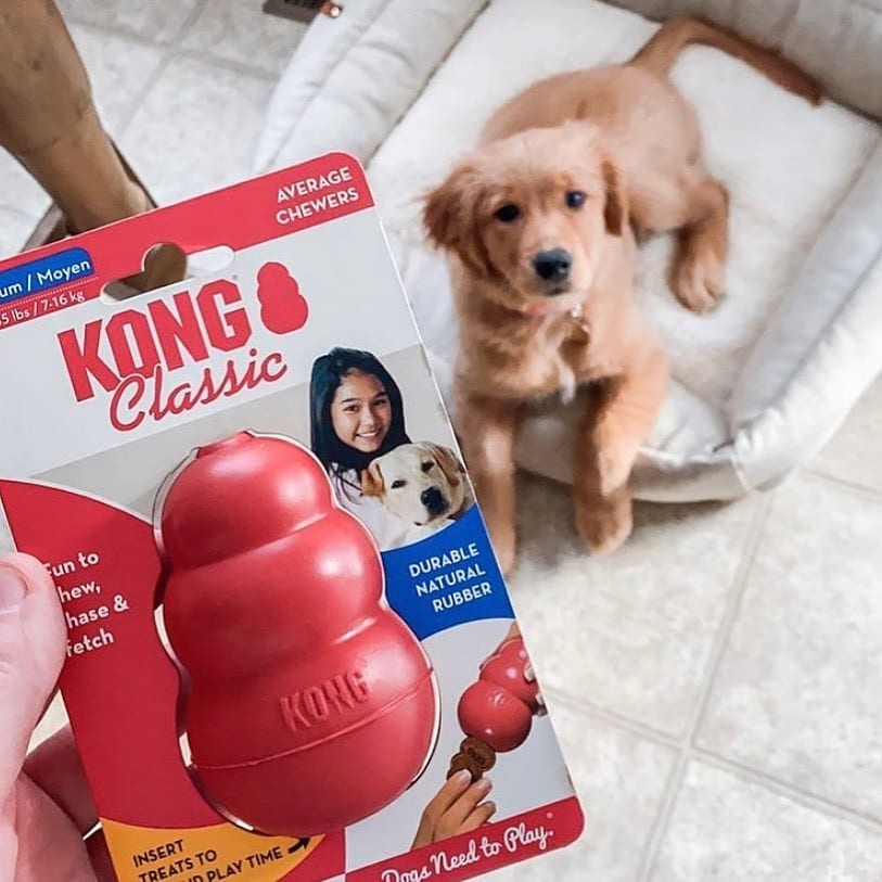 KONG Box Curbs Churn With Seamless Payments