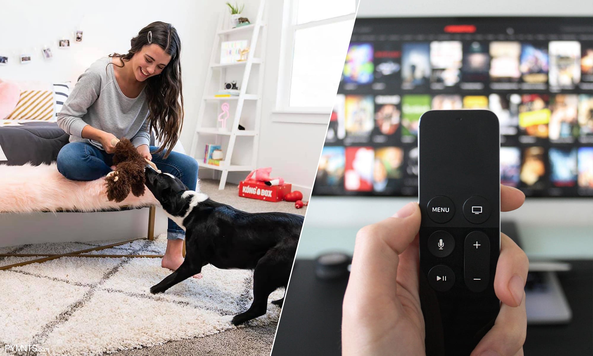 KONG Box Curbs Inactive Churn With Seamless Payments