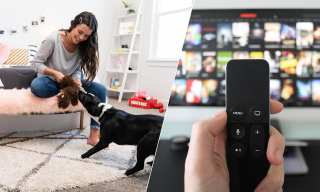 KONG Box Curbs Inactive Churn With Seamless Payments