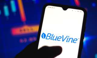 House Committee Asks Kabbage, BlueVine For Pandemic Loan Security, Revenue Data