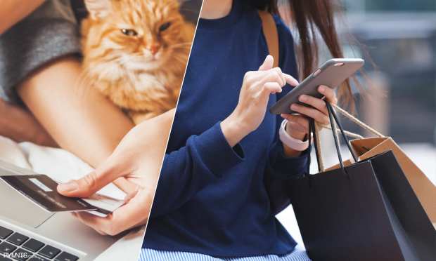 Installment Payments Expand Consumer Access To Premium Pet Care Products