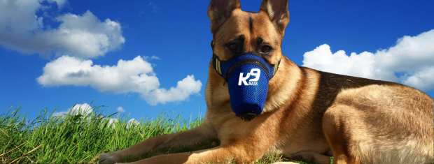 How Buy Now, Pay Later Helped K9 Mask Broaden Its Customer Base