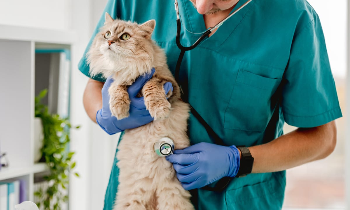 JAB Pet Care Conglomerate May Go Public