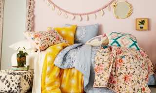 Bed Bath & Beyond Rolls Out Wild Sage Brand Amid Private-Label Push