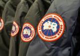 Luxury Outerwear Brand Canada Goose Plans To Go Fur-Free